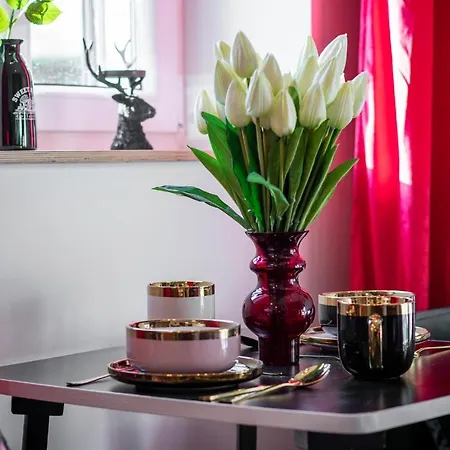 Kowalove Appartement Katowice